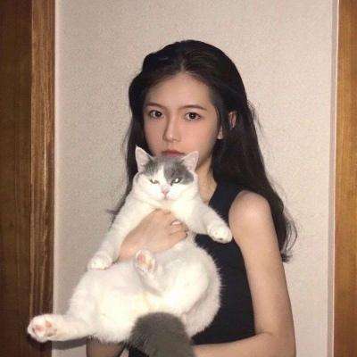 职业棒球h2游戏下载